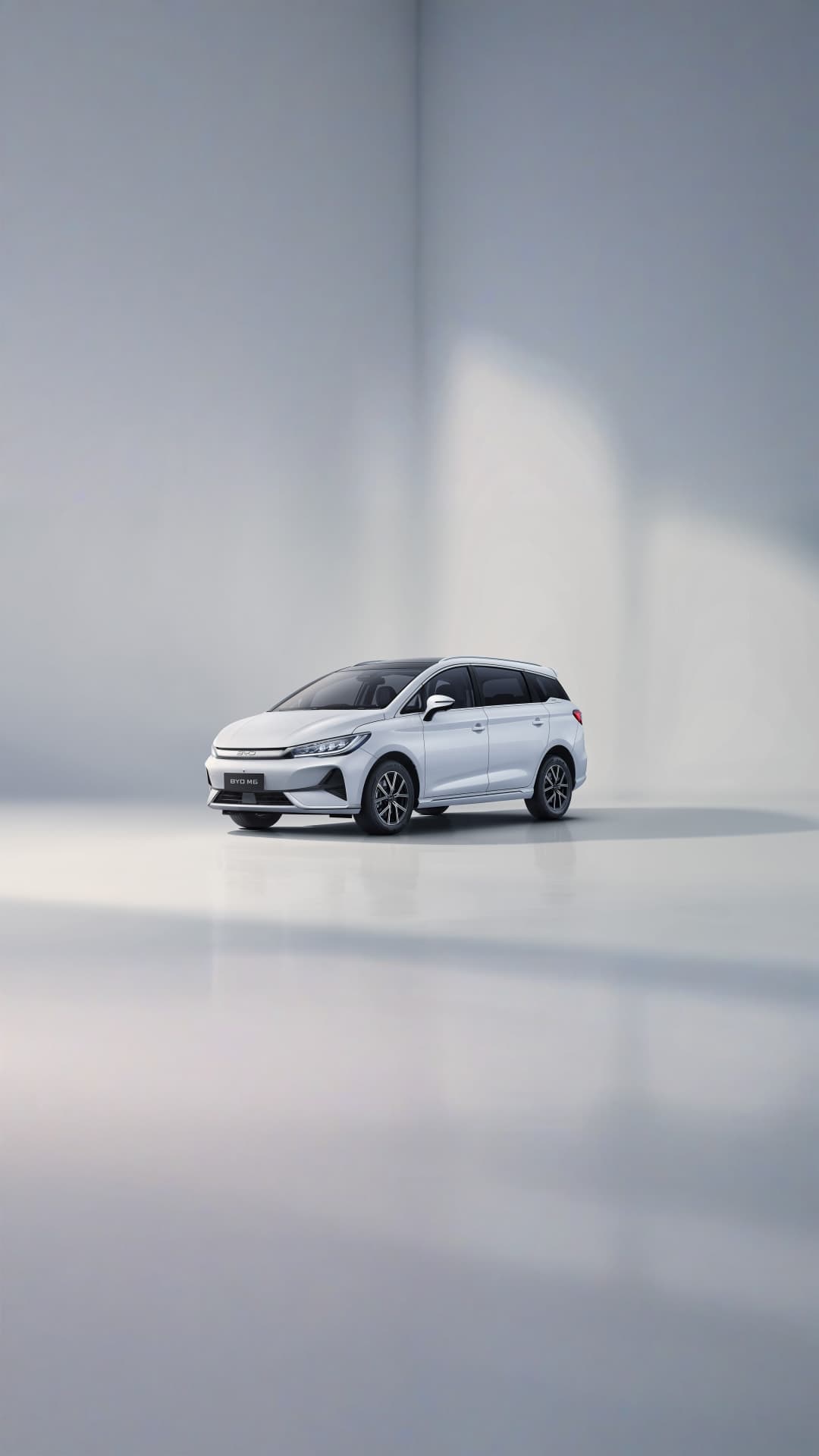 BYD M6