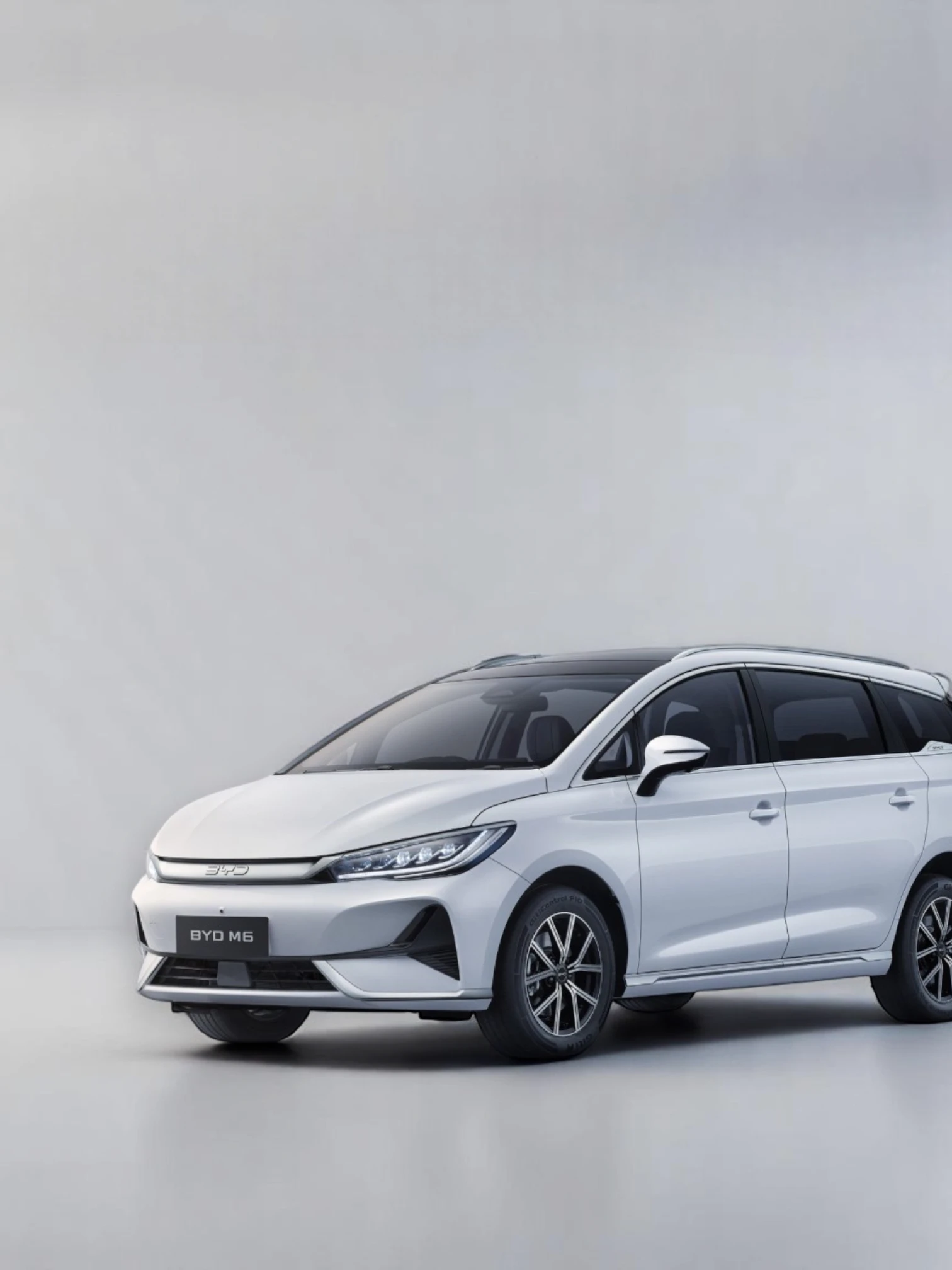 BYD M6
