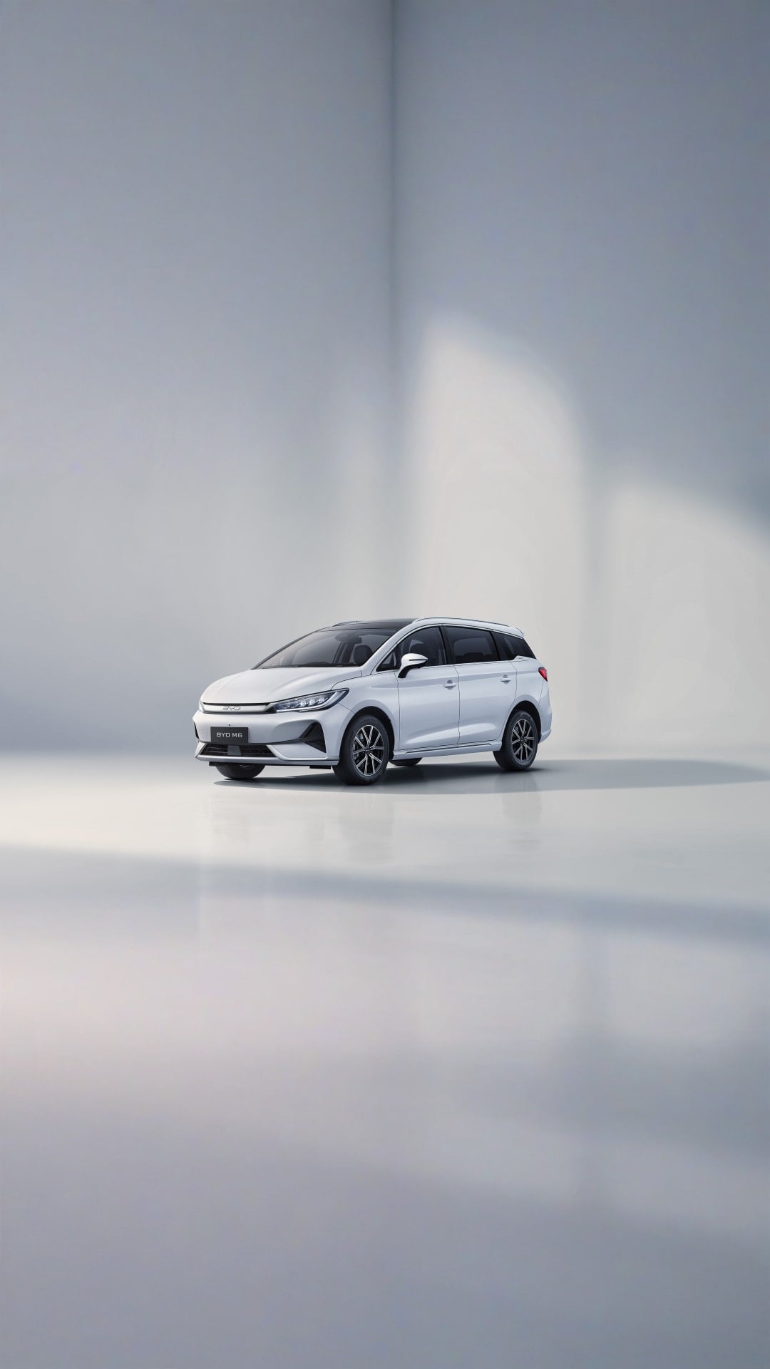 BYD M6
